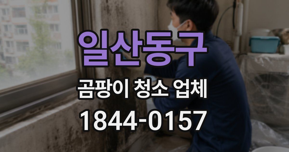 일산동구 곰팡이 청소 업체