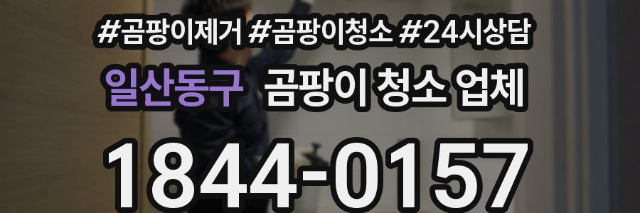 일산동구 곰팡이 청소 업체