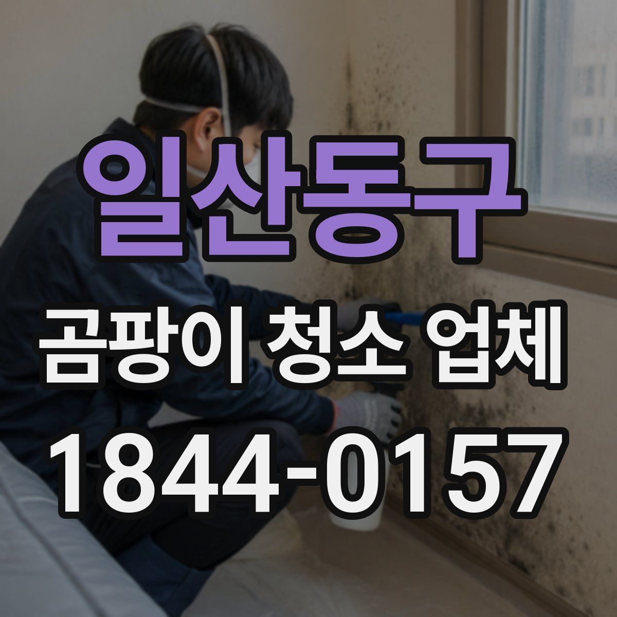 일산동구 곰팡이 청소 업체