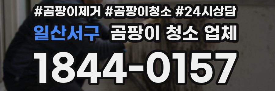 일산서구 곰팡이 청소 업체