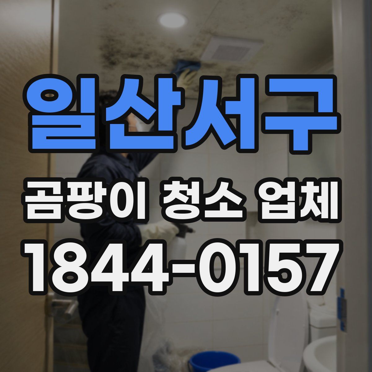 일산서구 곰팡이 청소 업체