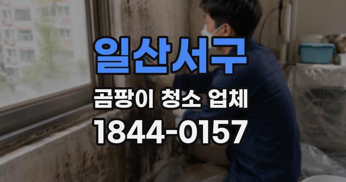 일산서구 곰팡이 청소 업체
