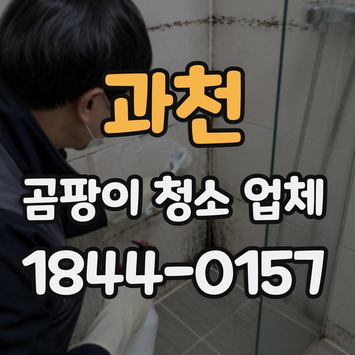 과천 곰팡이 청소 업체