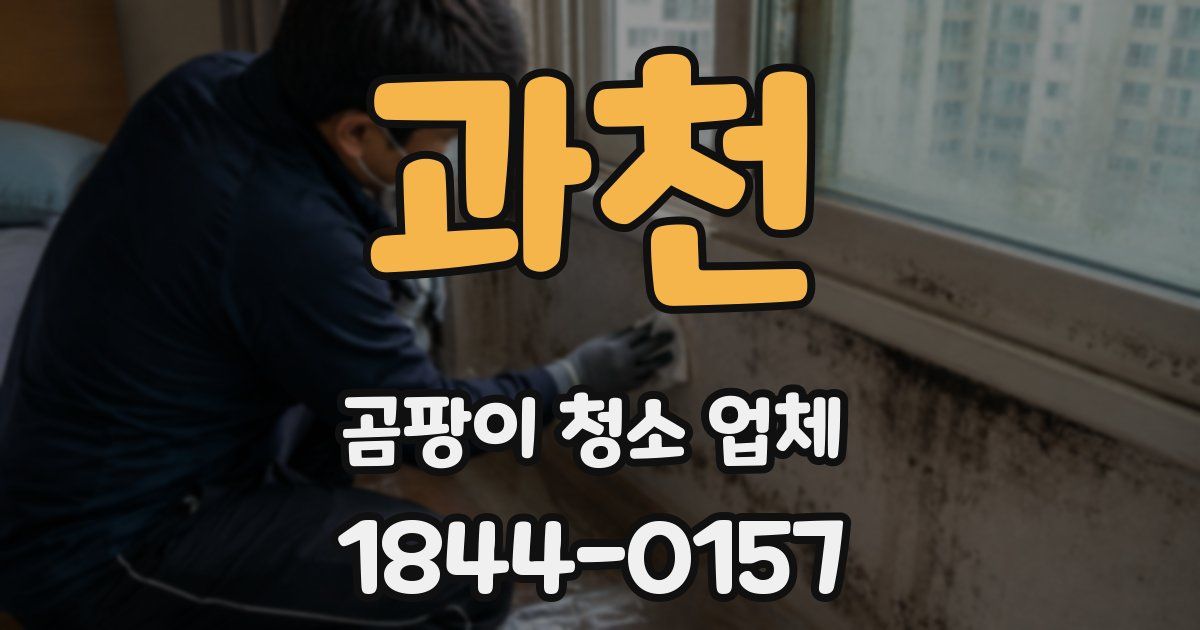과천 곰팡이 청소 업체