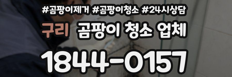 구리 곰팡이 청소 업체