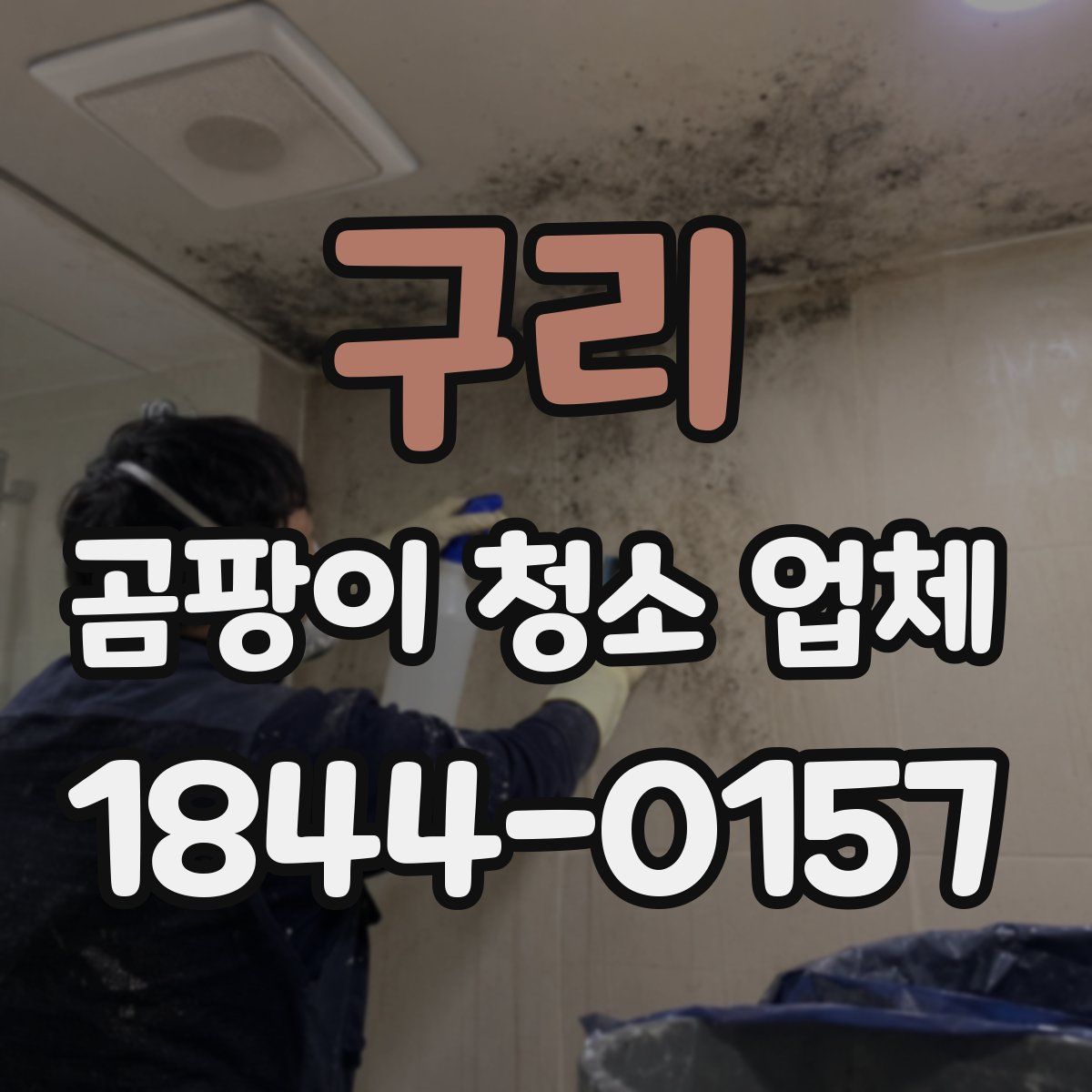 구리 곰팡이 청소 업체
