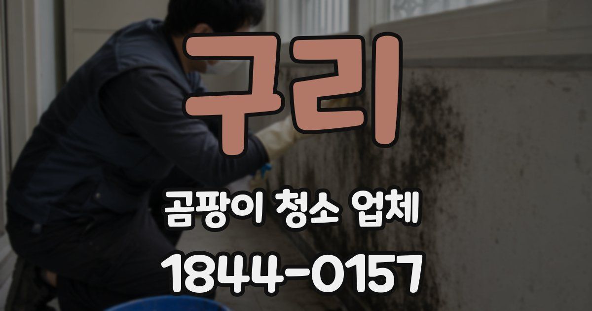 구리 곰팡이 청소 업체
