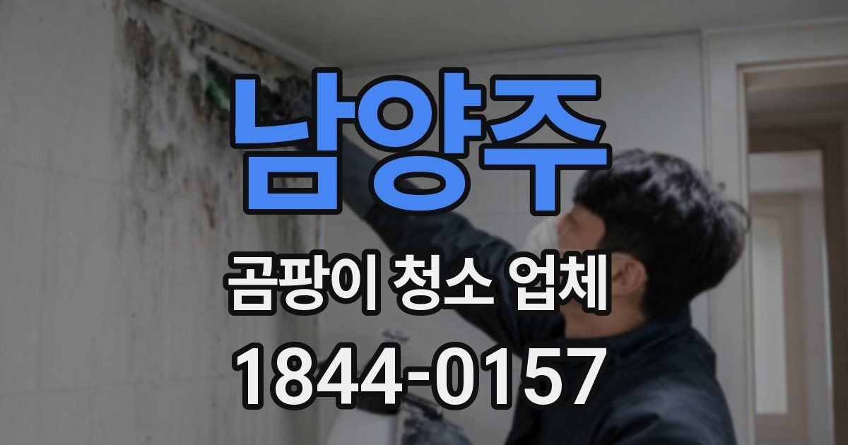 남양주 곰팡이 청소 업체
