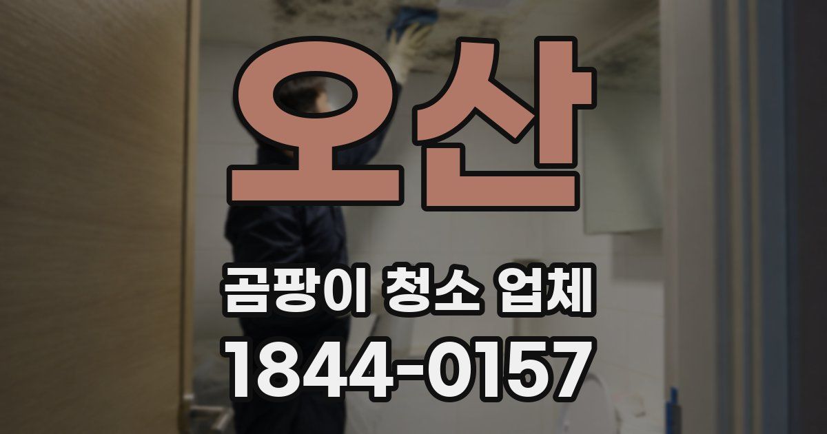 오산 곰팡이 청소 업체