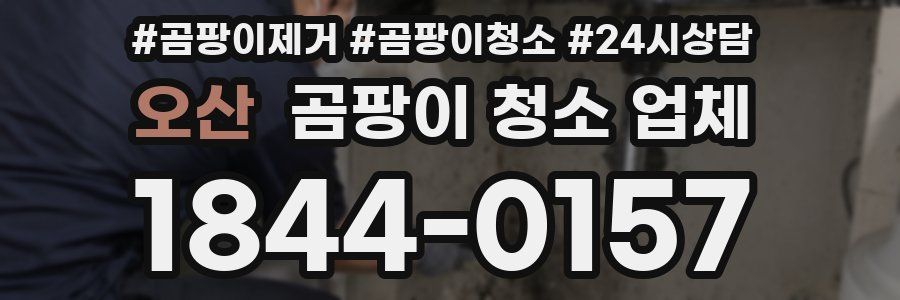 오산 곰팡이 청소 업체