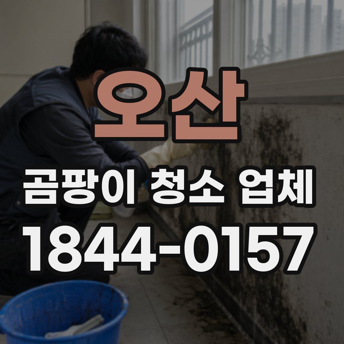 오산 곰팡이 청소 업체