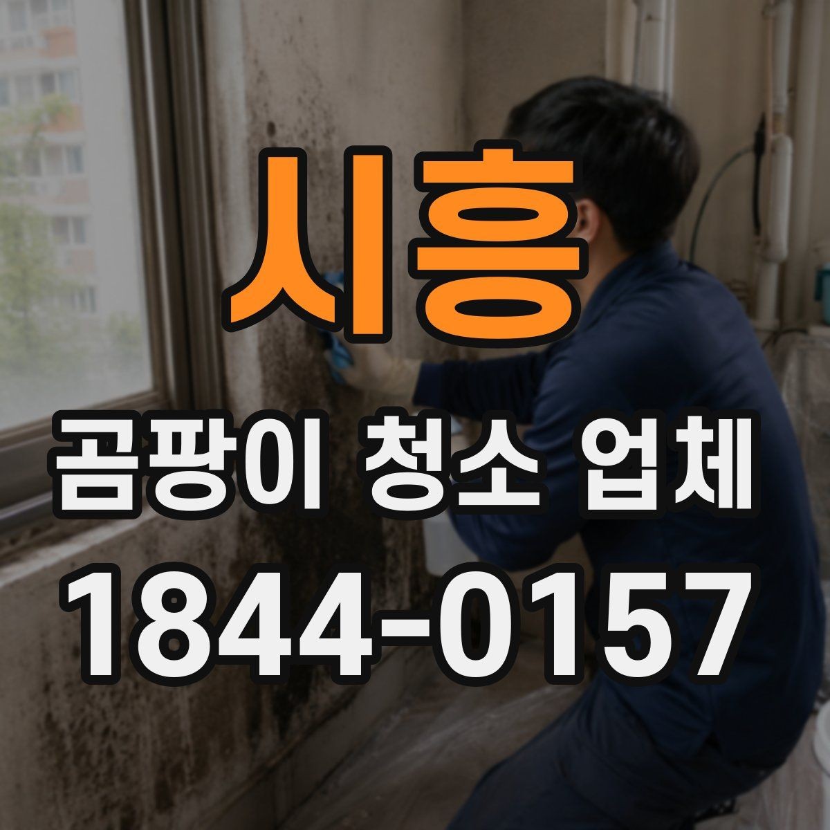 시흥 곰팡이 청소 업체 주방 싱크대 주변 오염 전 확인사항