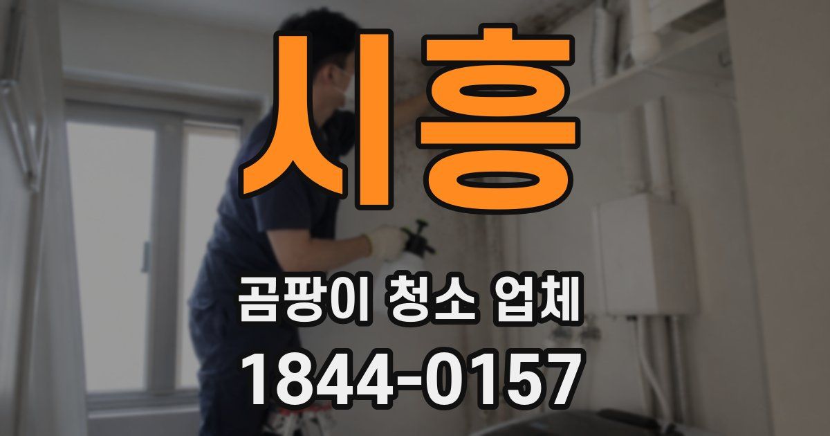 시흥 곰팡이 청소 업체