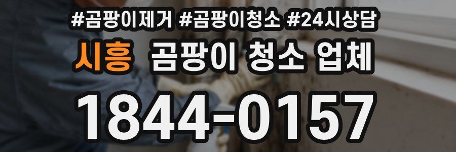 시흥 곰팡이 청소 업체