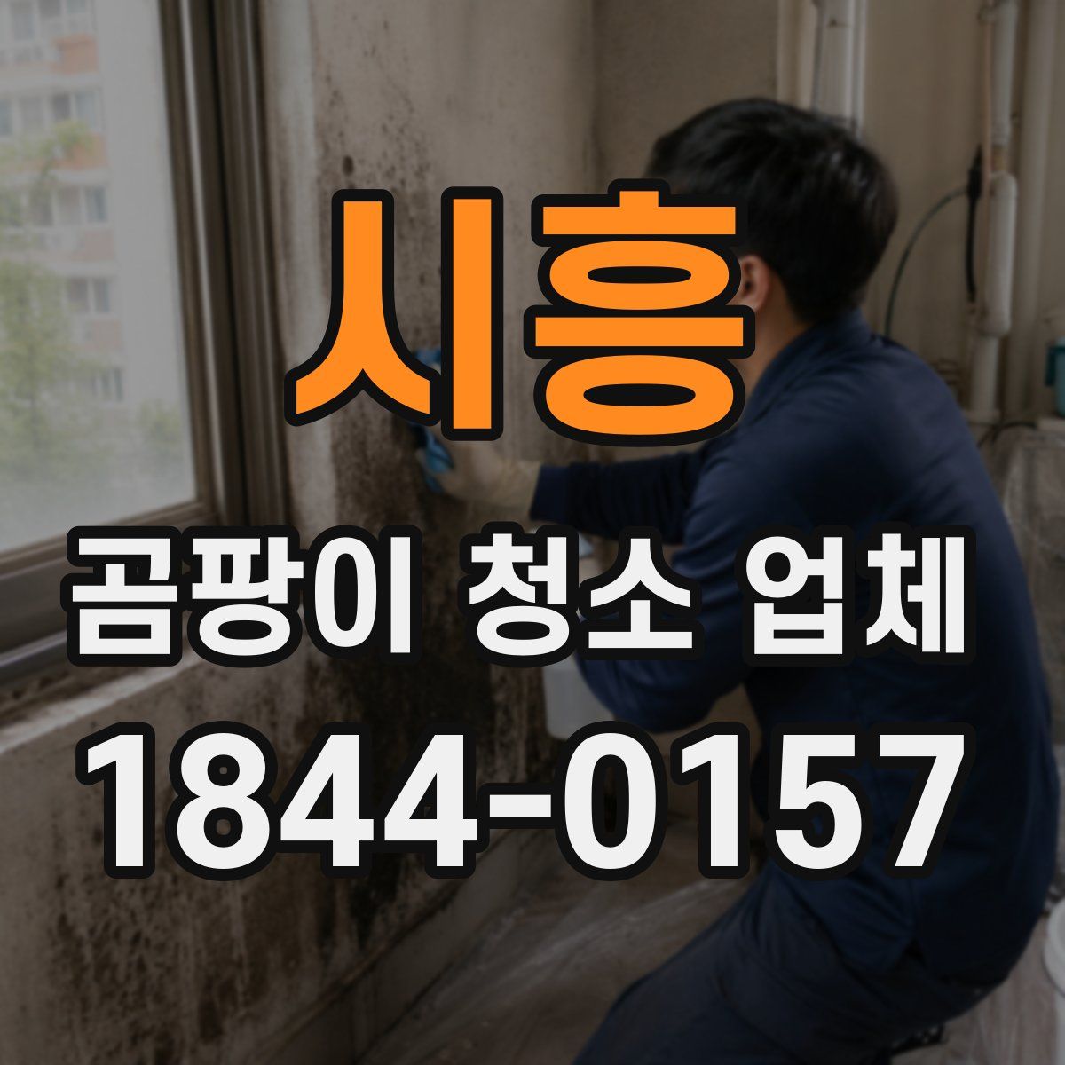 시흥 곰팡이 청소 업체