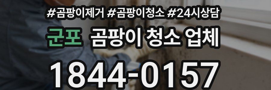 군포 곰팡이 청소 업체