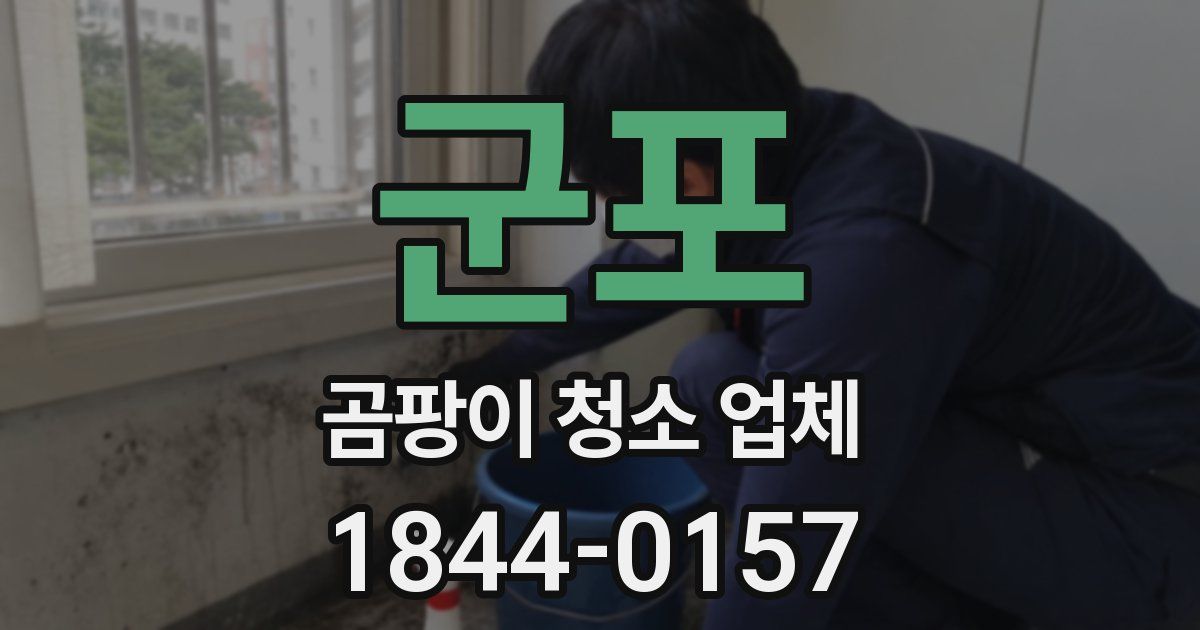 군포 곰팡이 청소 업체