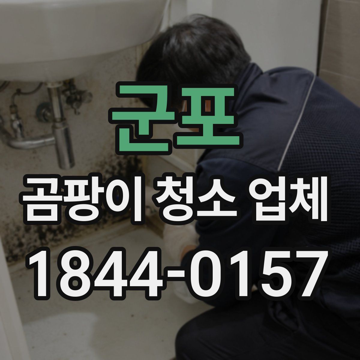 군포 곰팡이 청소 업체