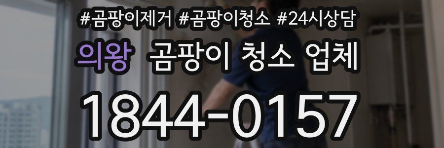 의왕 곰팡이 청소 업체