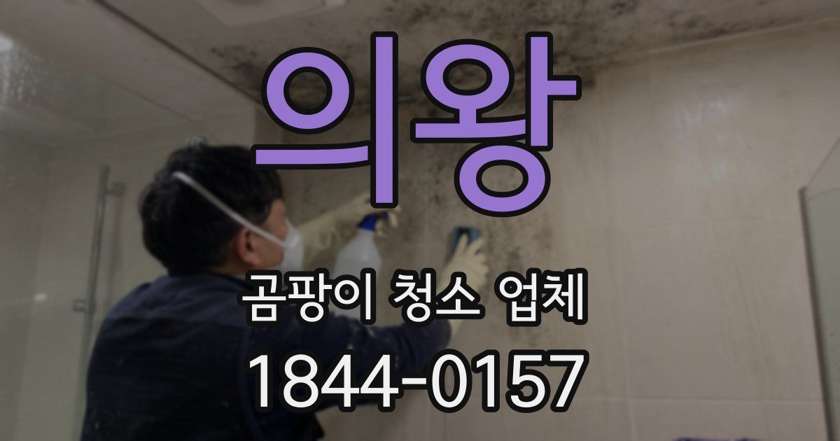의왕 곰팡이 청소 업체