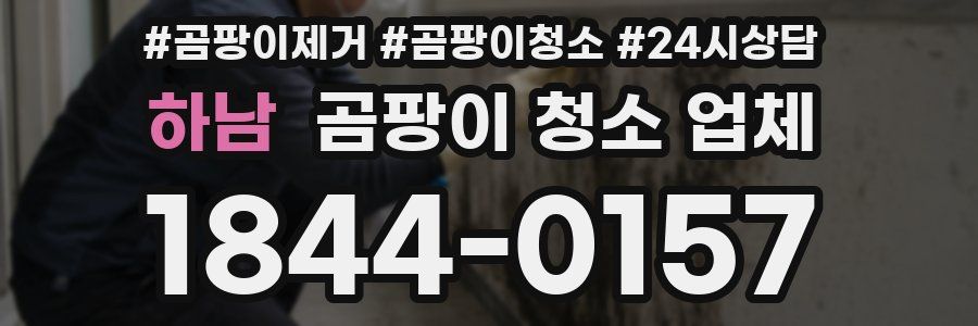하남 곰팡이 청소 업체