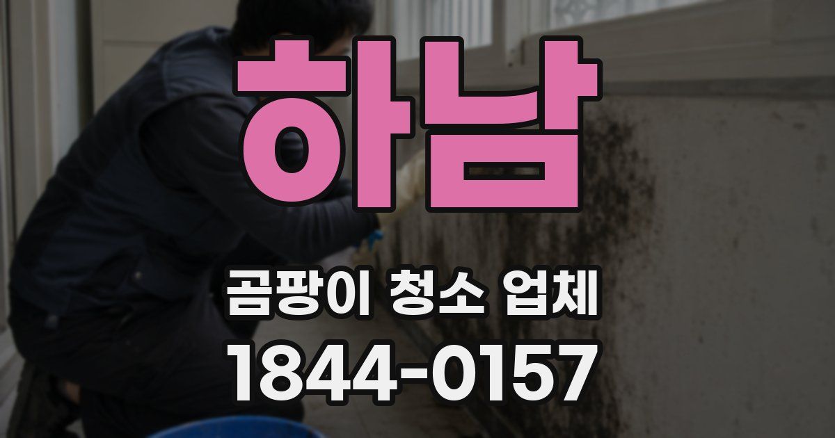 하남 곰팡이 청소 업체
