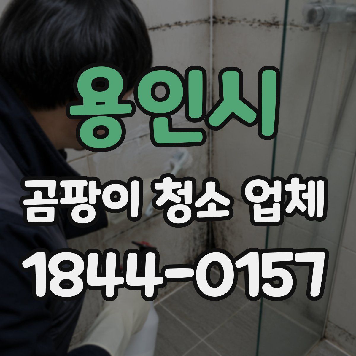 용인시 곰팡이 청소 업체