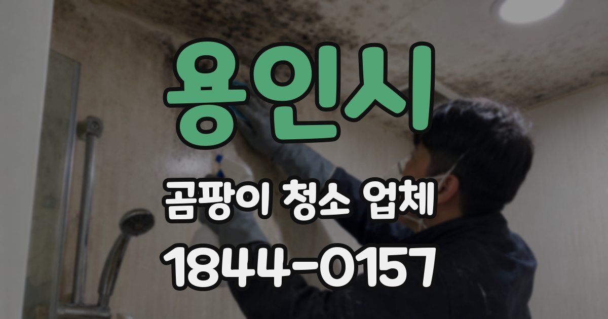 용인시 곰팡이 청소 업체
