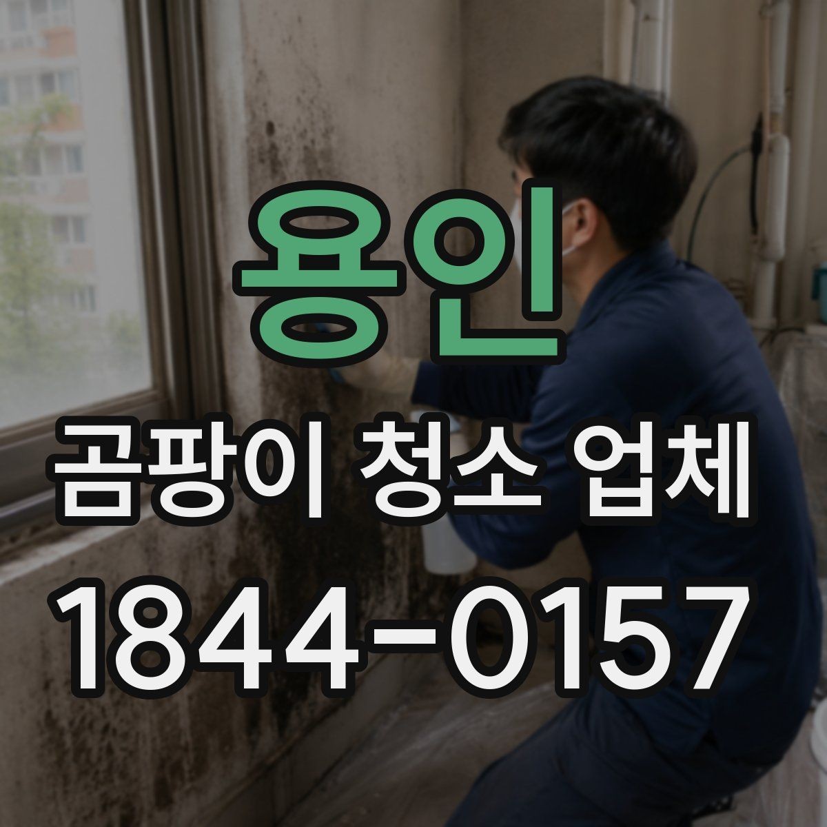 용인 곰팡이 청소 업체 장마철 실내 습도 관리가 중요한 까닭