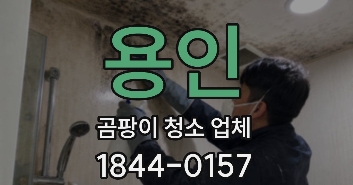 용인 곰팡이 청소 업체