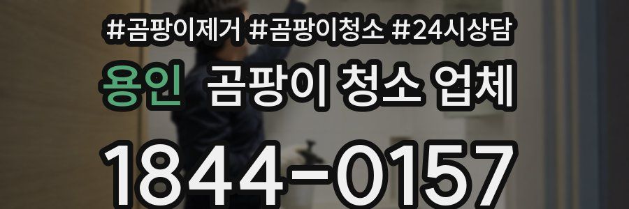 용인 곰팡이 청소 업체