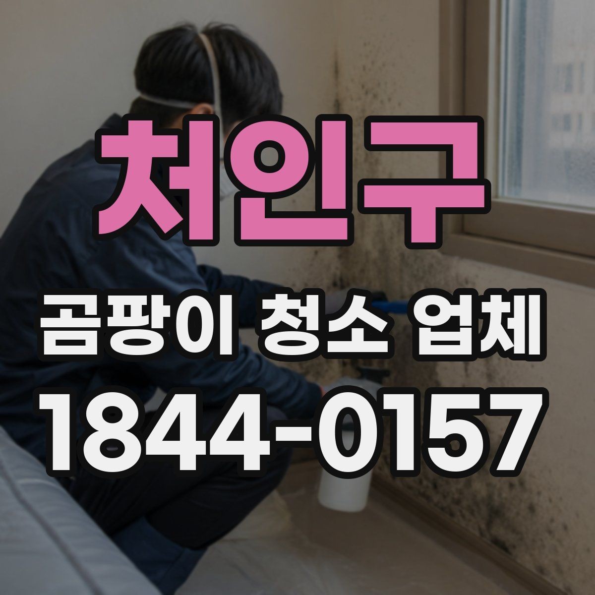 처인구 곰팡이 청소 업체 장마철 실내 습도 관리가 중요한 까닭