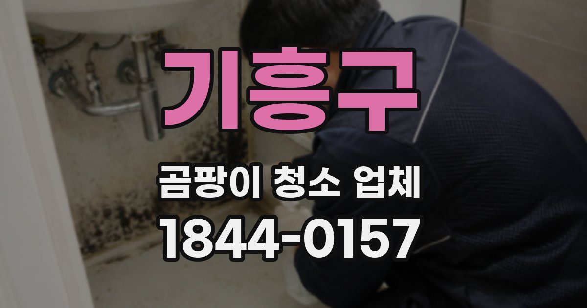 기흥구 곰팡이 청소 업체