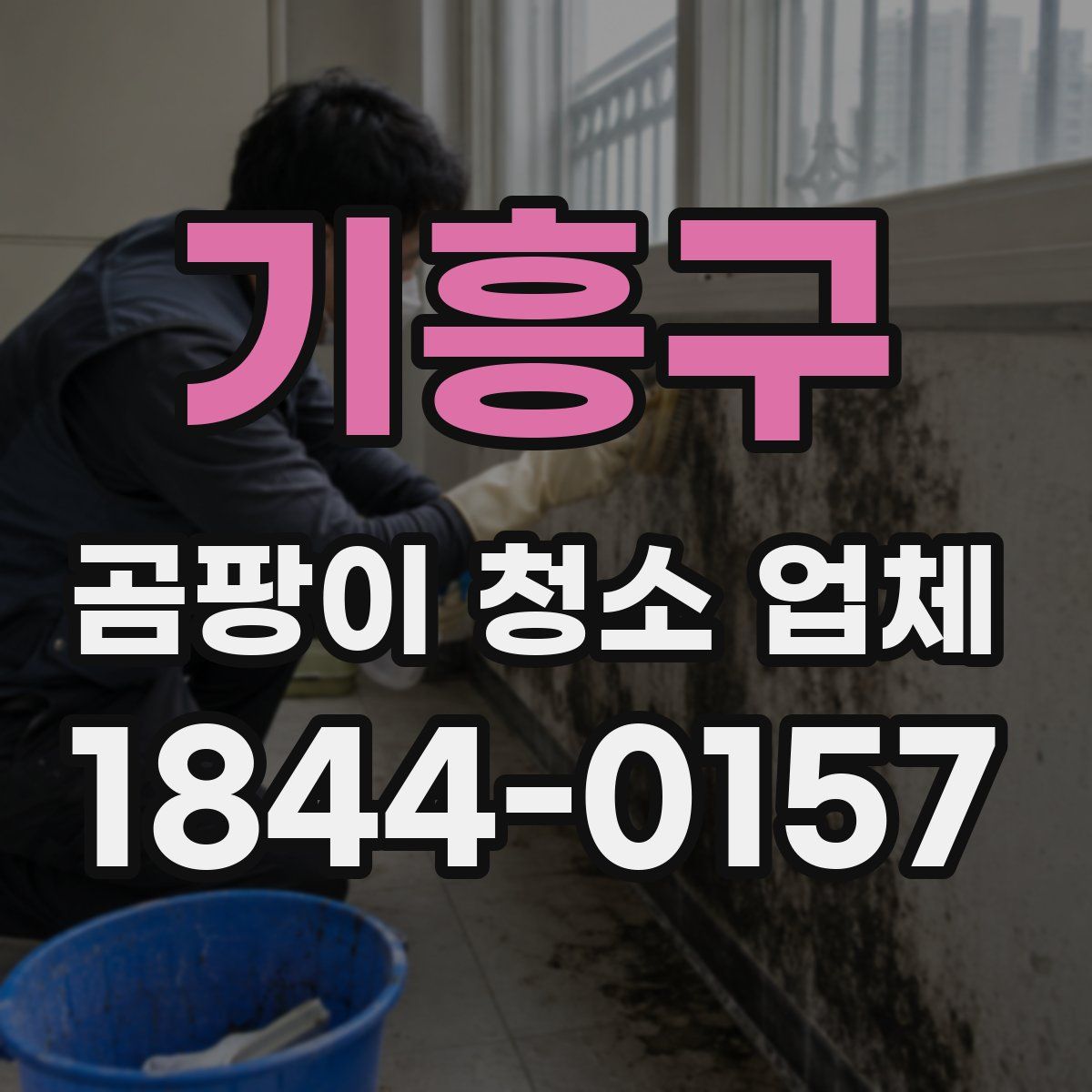 기흥구 곰팡이 청소 업체