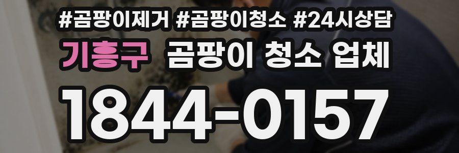 기흥구 곰팡이 청소 업체