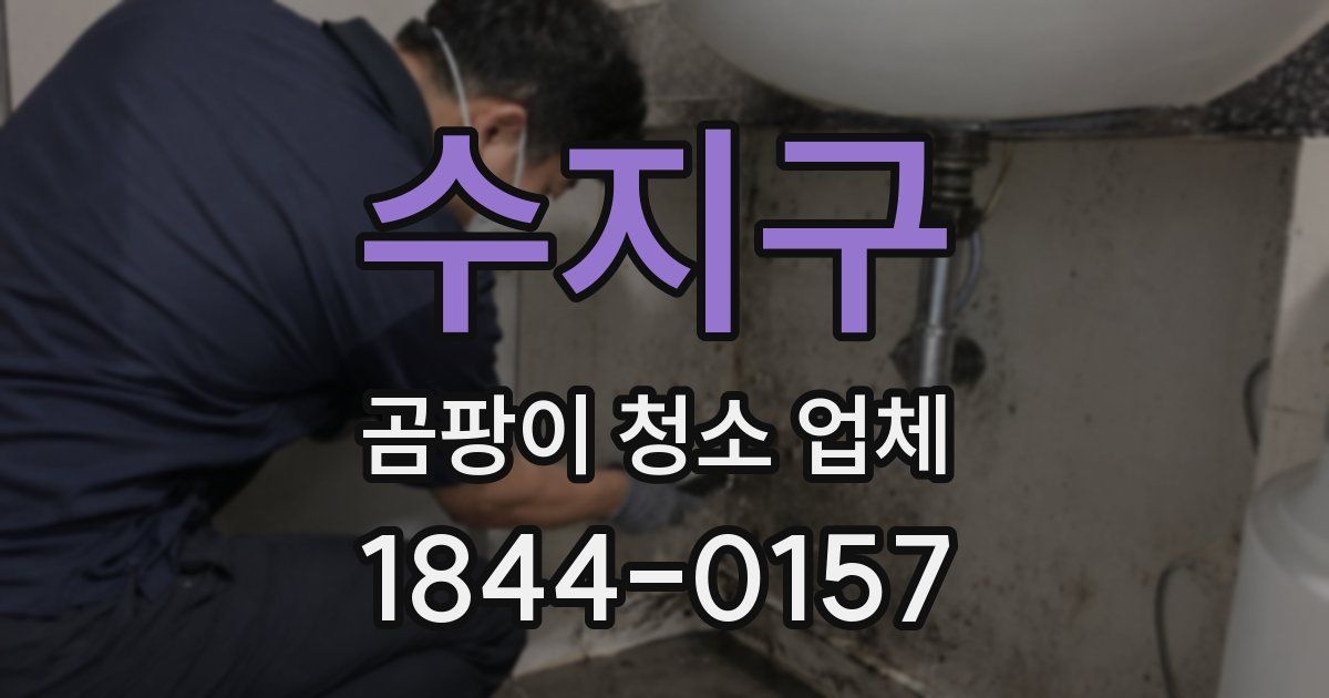 수지구 곰팡이 청소 업체