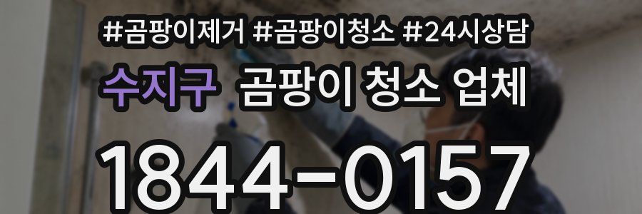 수지구 곰팡이 청소 업체