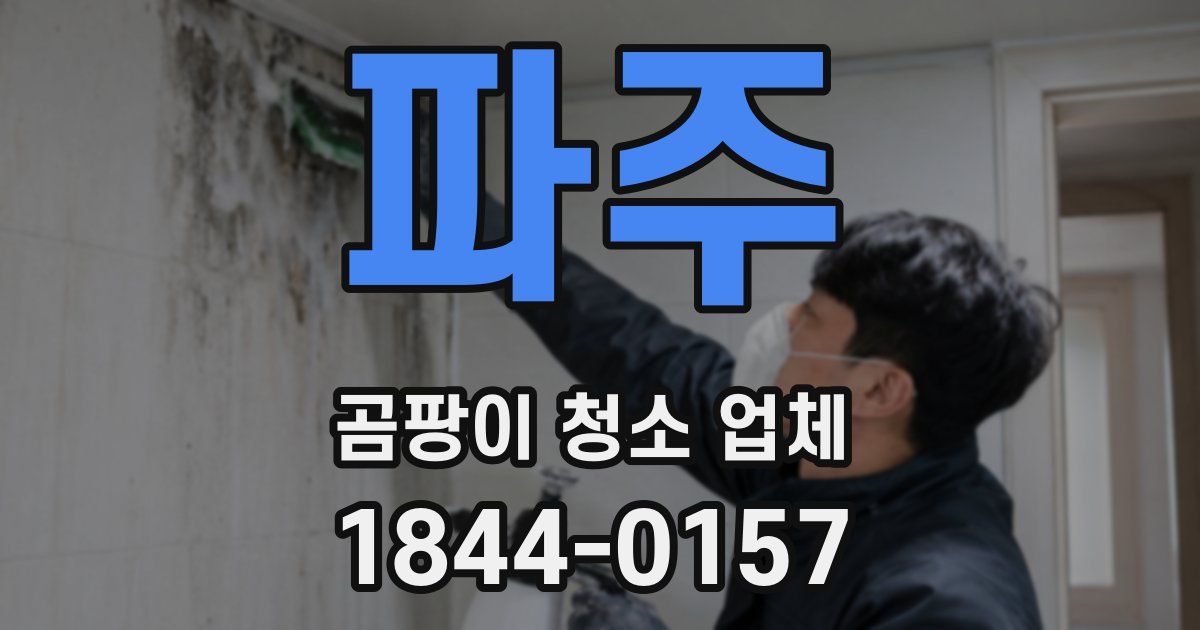 파주 곰팡이 청소 업체