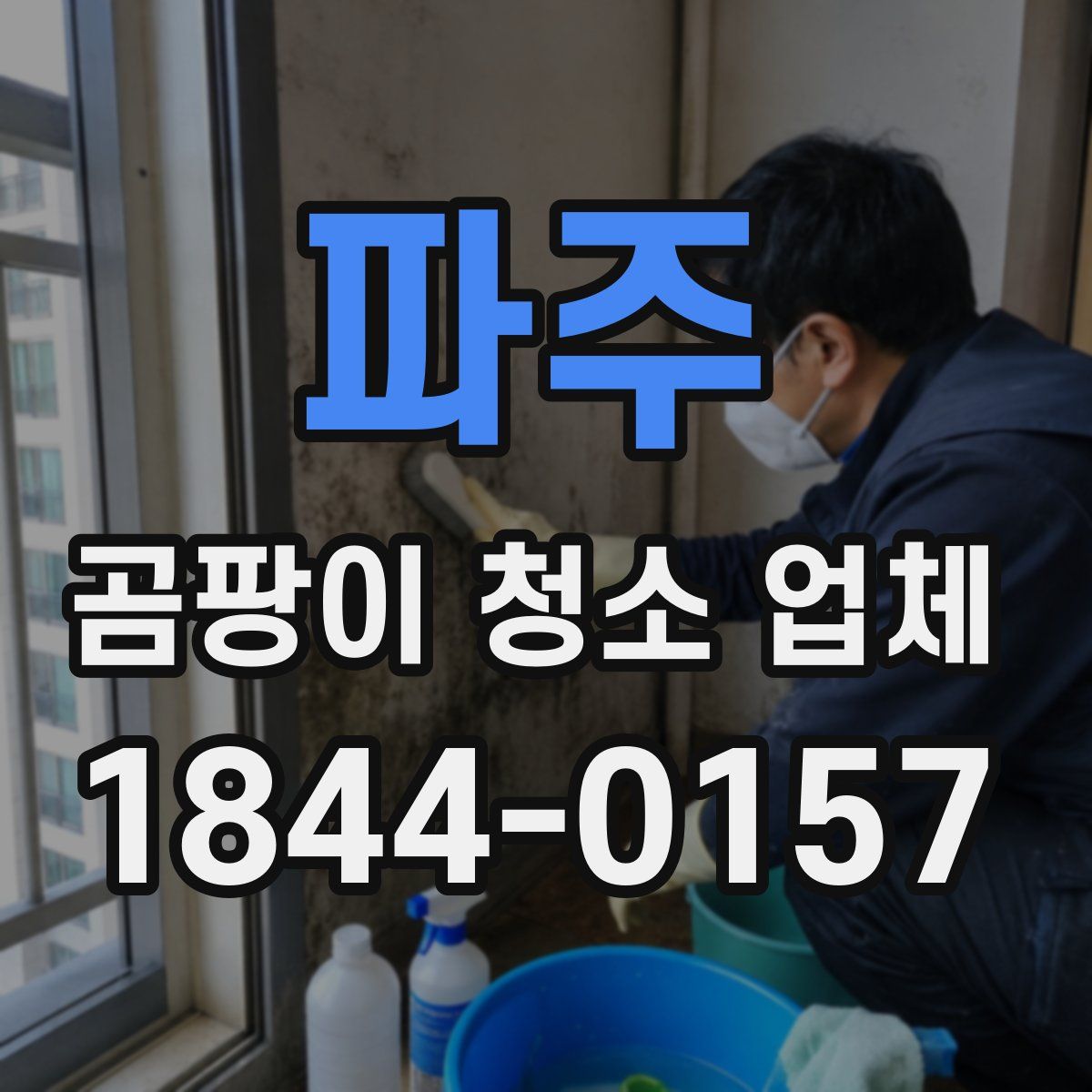 파주 곰팡이 청소 업체