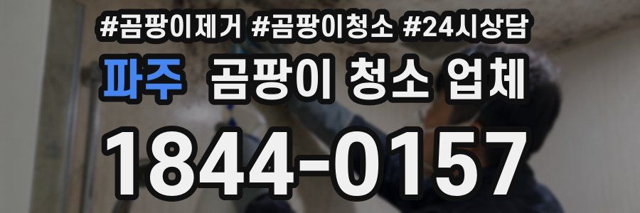 파주 곰팡이 청소 업체