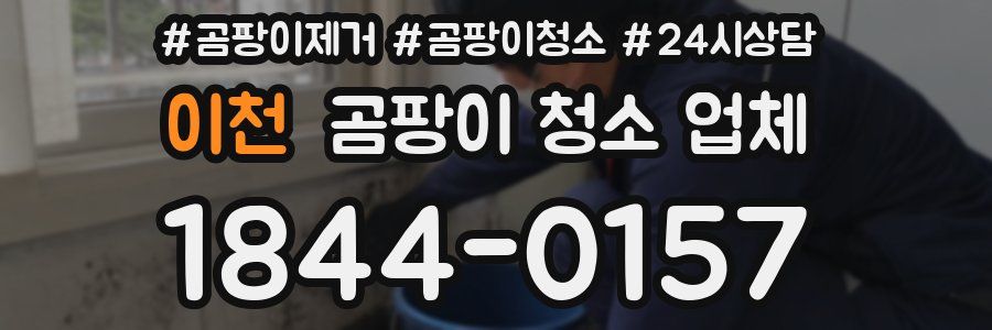 이천 곰팡이 청소 업체