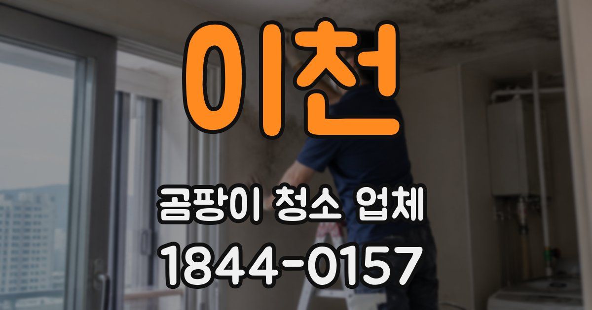 이천 곰팡이 청소 업체