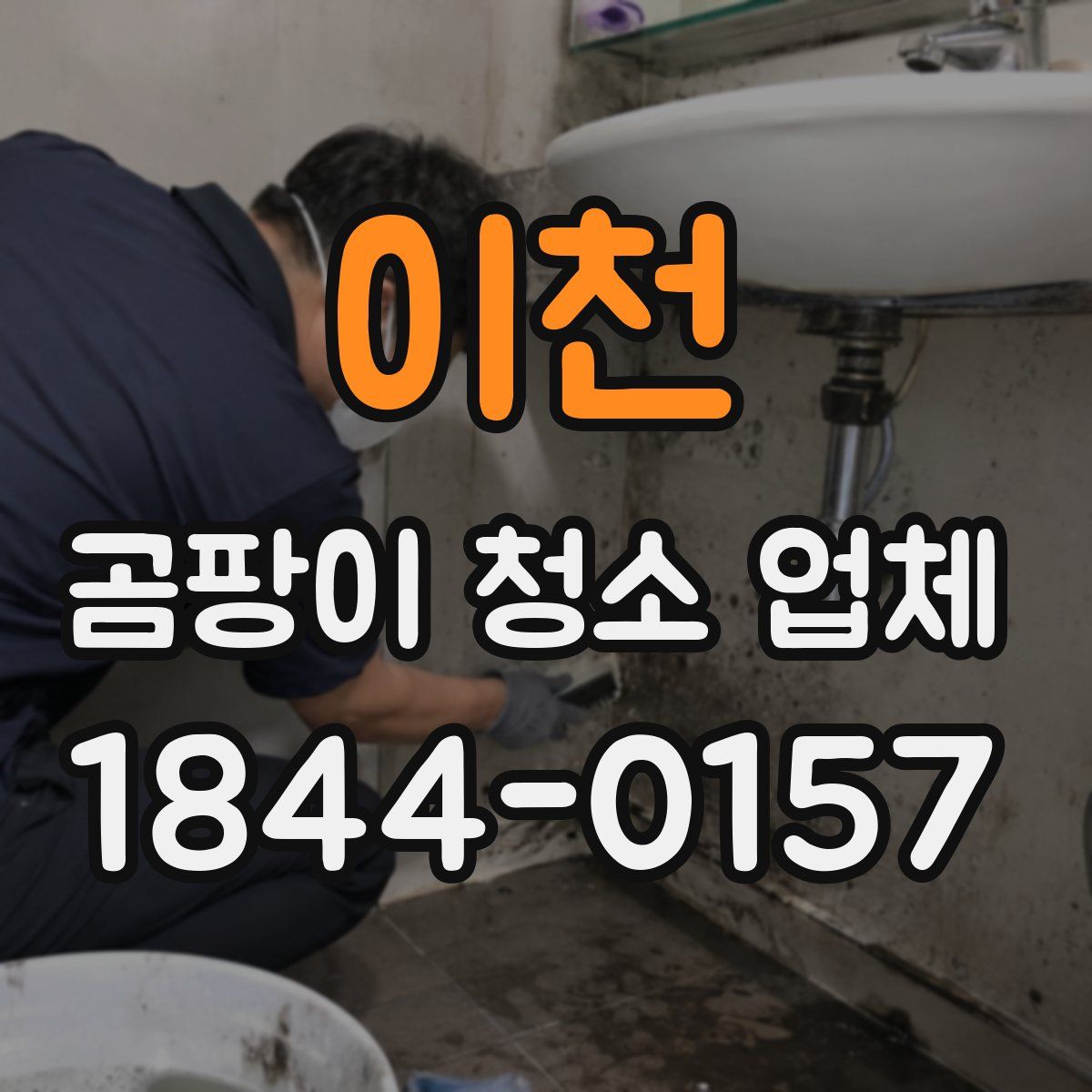 이천 곰팡이 청소 업체