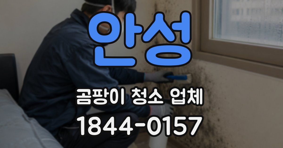 안성 곰팡이 청소 업체