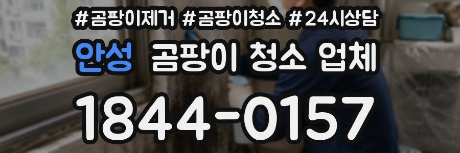 안성 곰팡이 청소 업체