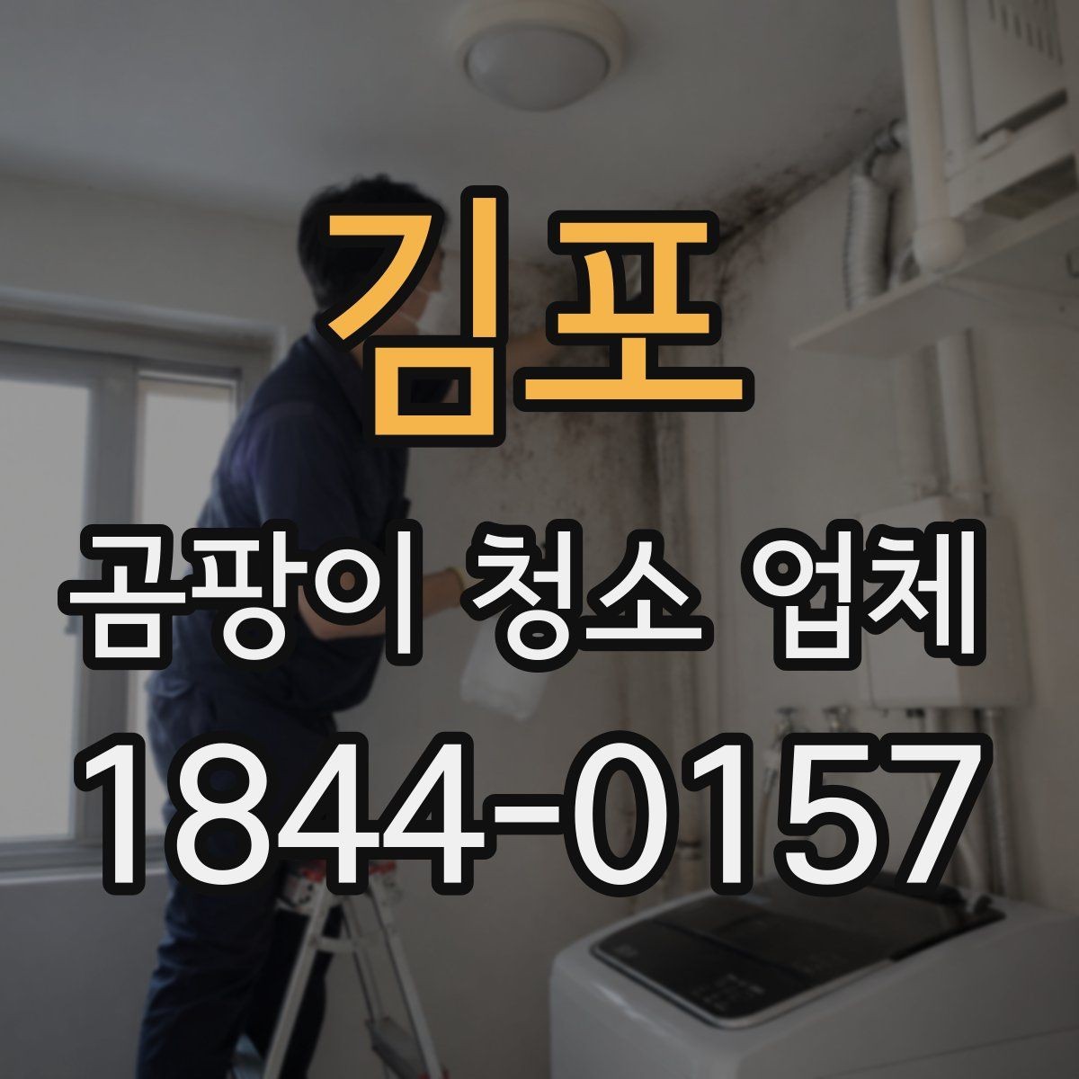 김포 곰팡이 청소 업체 벽지와 실리콘은 이렇게 다릅니다 제거 방식이 다른 이유