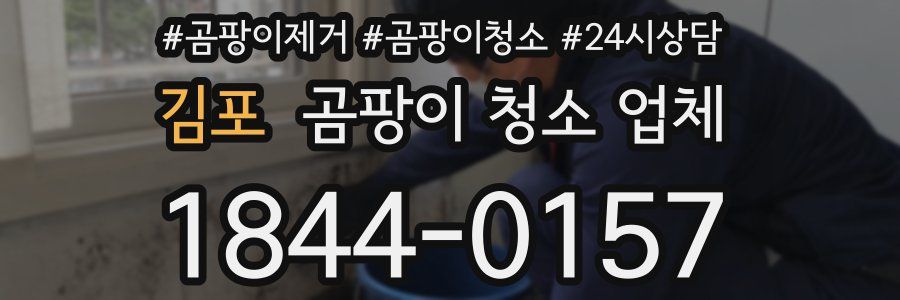 김포 곰팡이 청소 업체