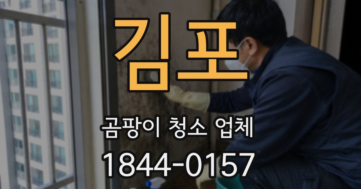 김포 곰팡이 청소 업체