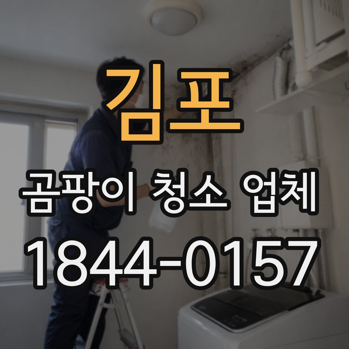 김포 곰팡이 청소 업체