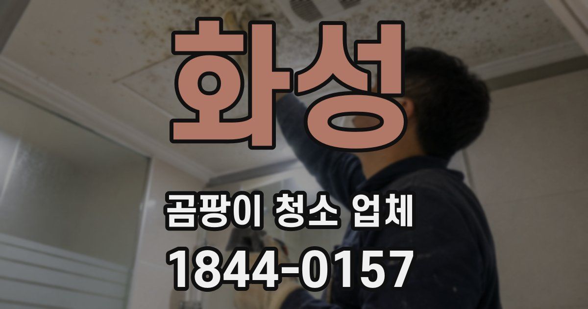 화성 곰팡이 청소 업체